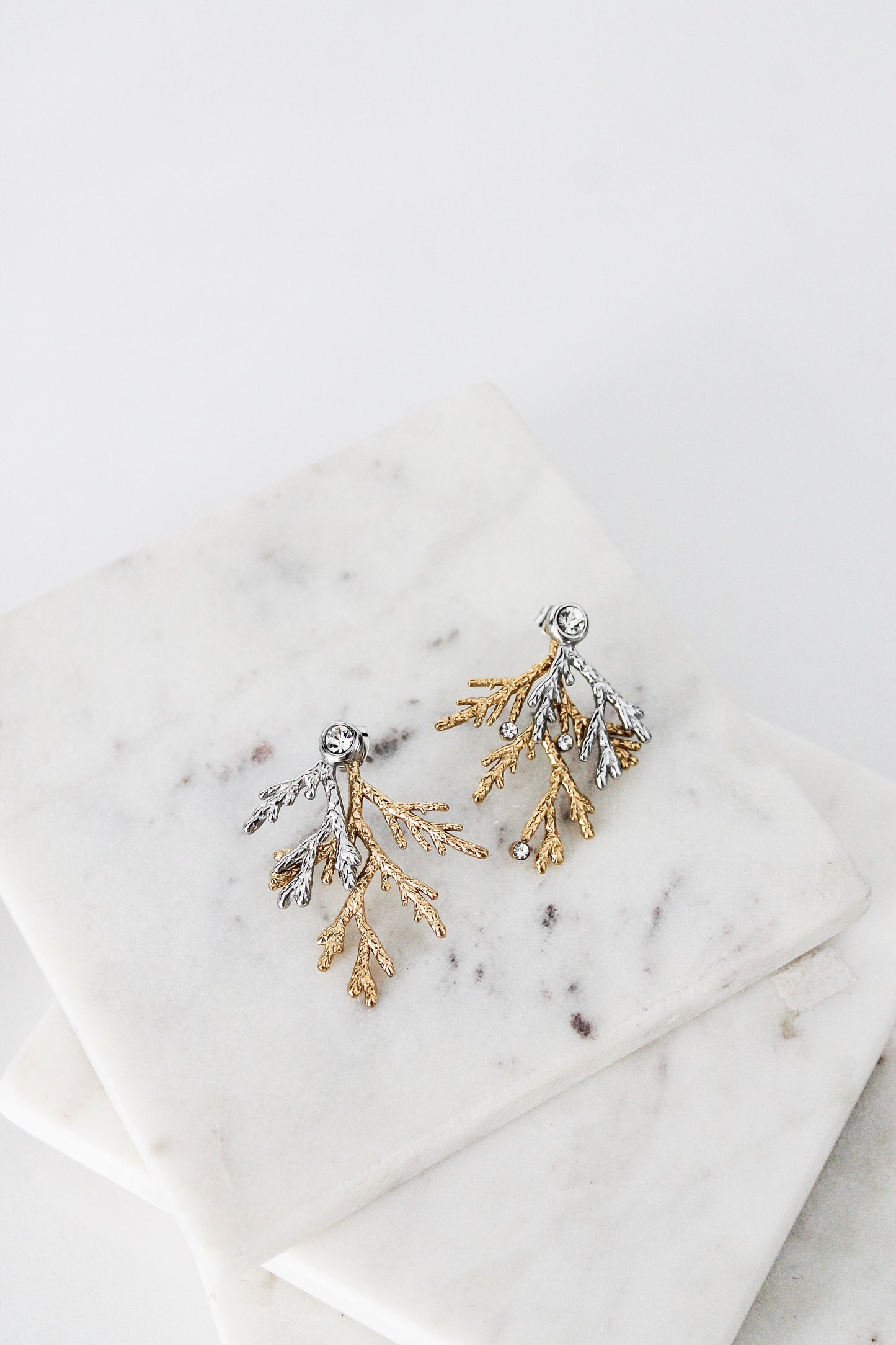 Chelsea Coral Earrings