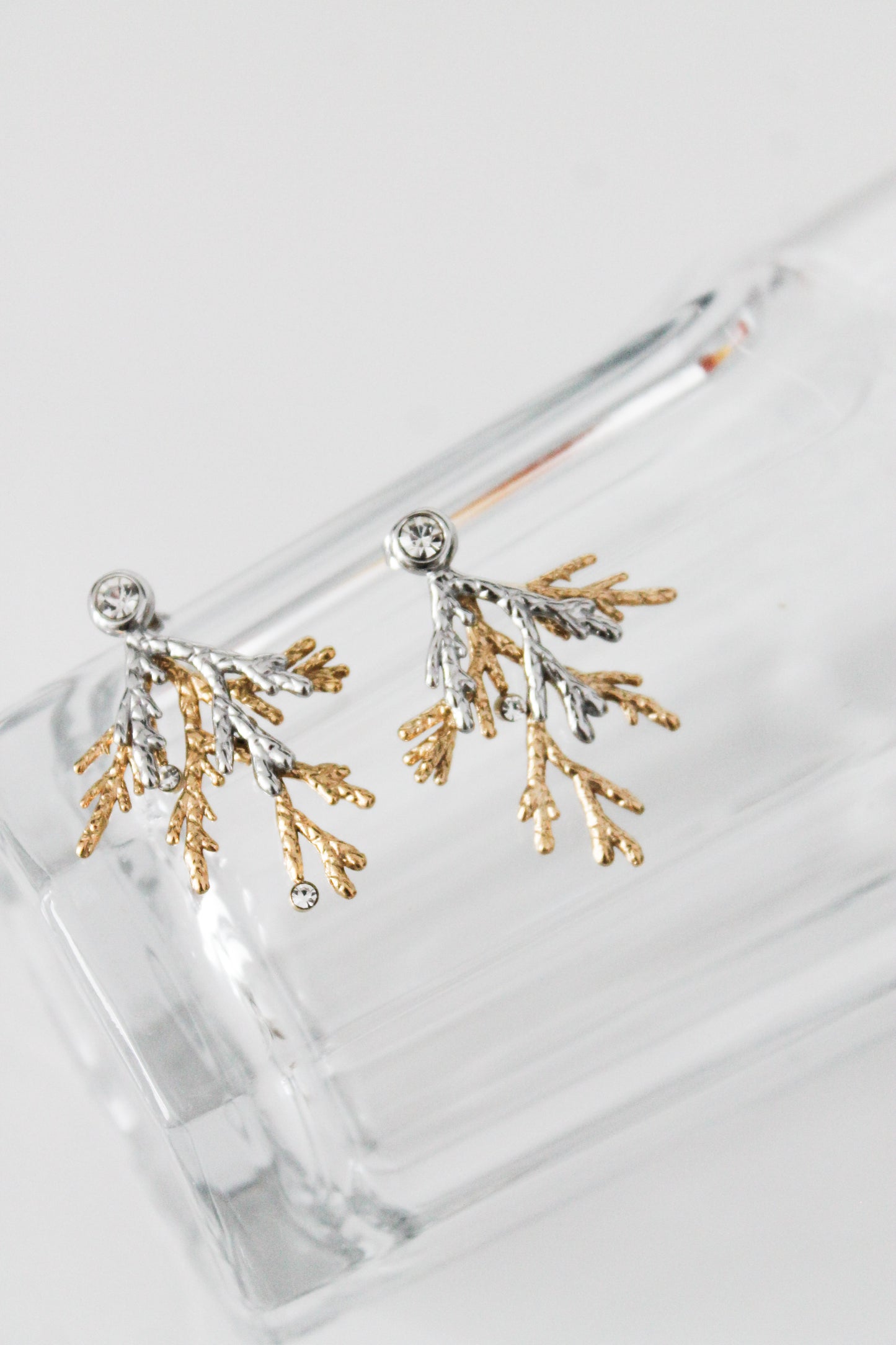 Chelsea Coral Earrings