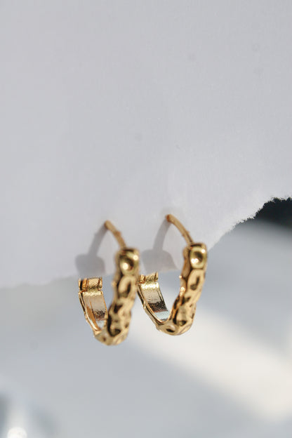 Jenny Earrings