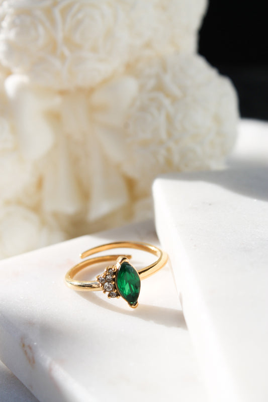 Saskia Ring