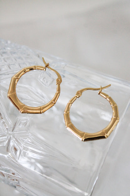 Ice Gold Hoops